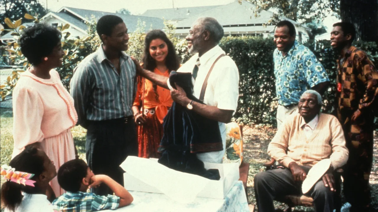 Mississippi Masala İndir - görsel 1