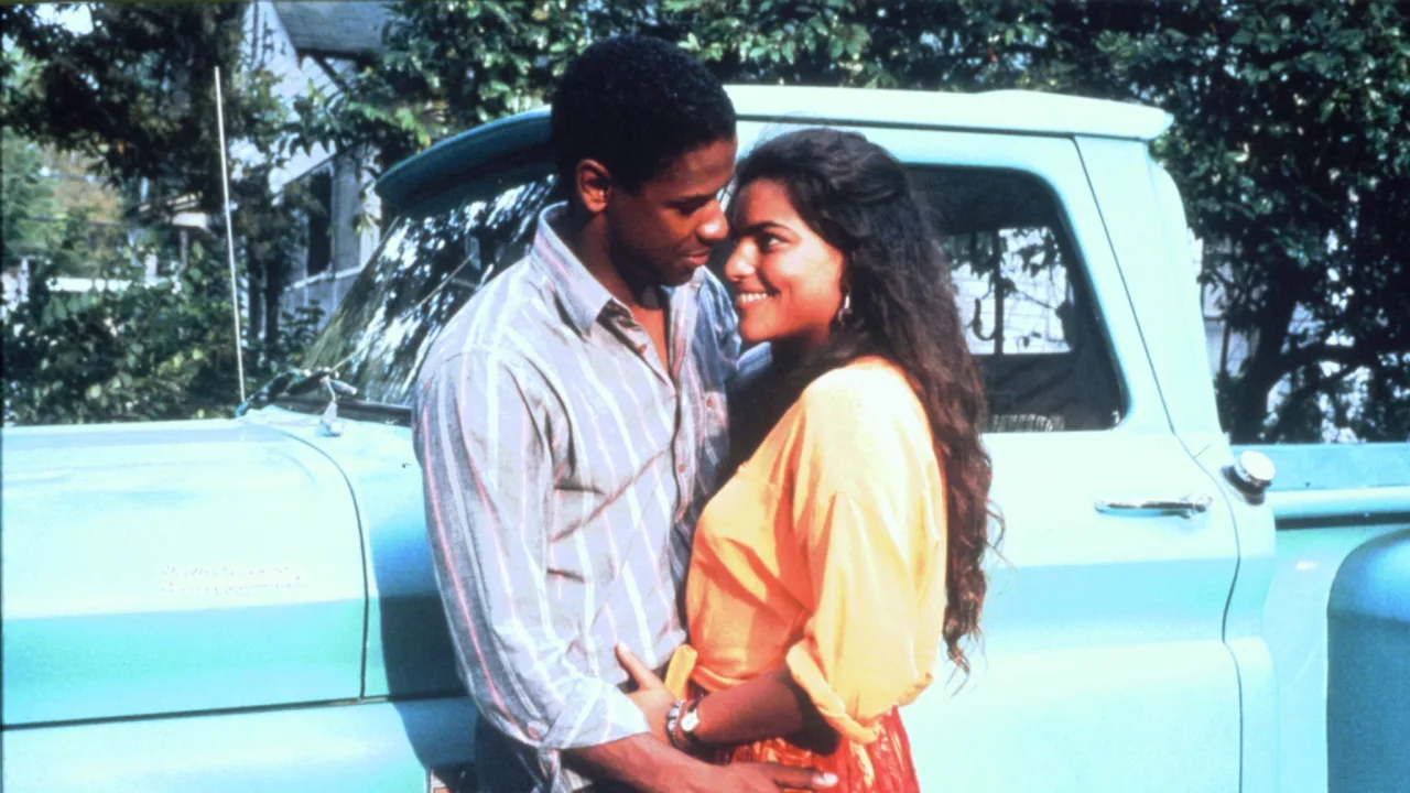 Mississippi Masala İndir - görsel 5