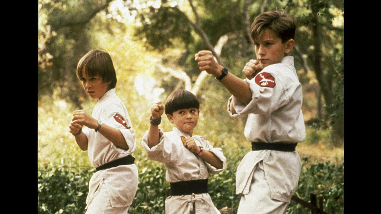 3 Küçük Ninja İndir - görsel 10