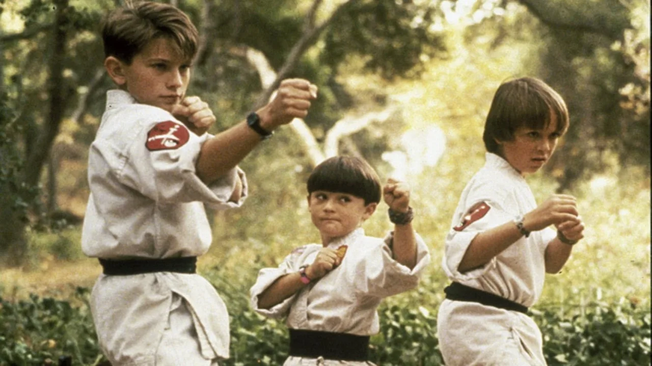3 Küçük Ninja İndir - görsel 7