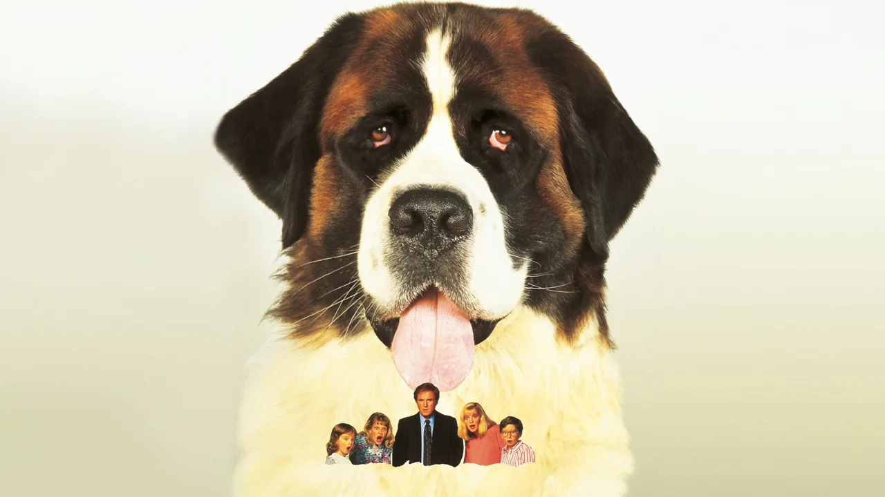 Afacan Köpek Beethoven İndir - görsel 5