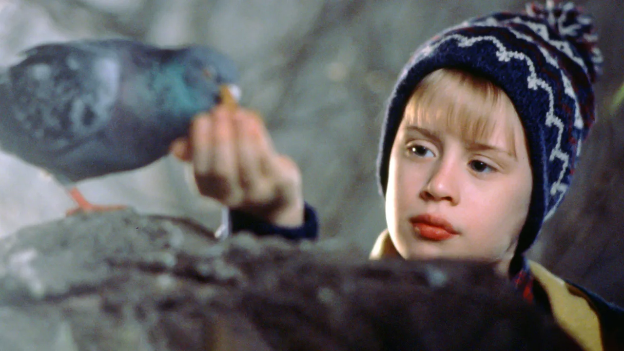 Evde Tek Başına 2 İndir - görsel 9