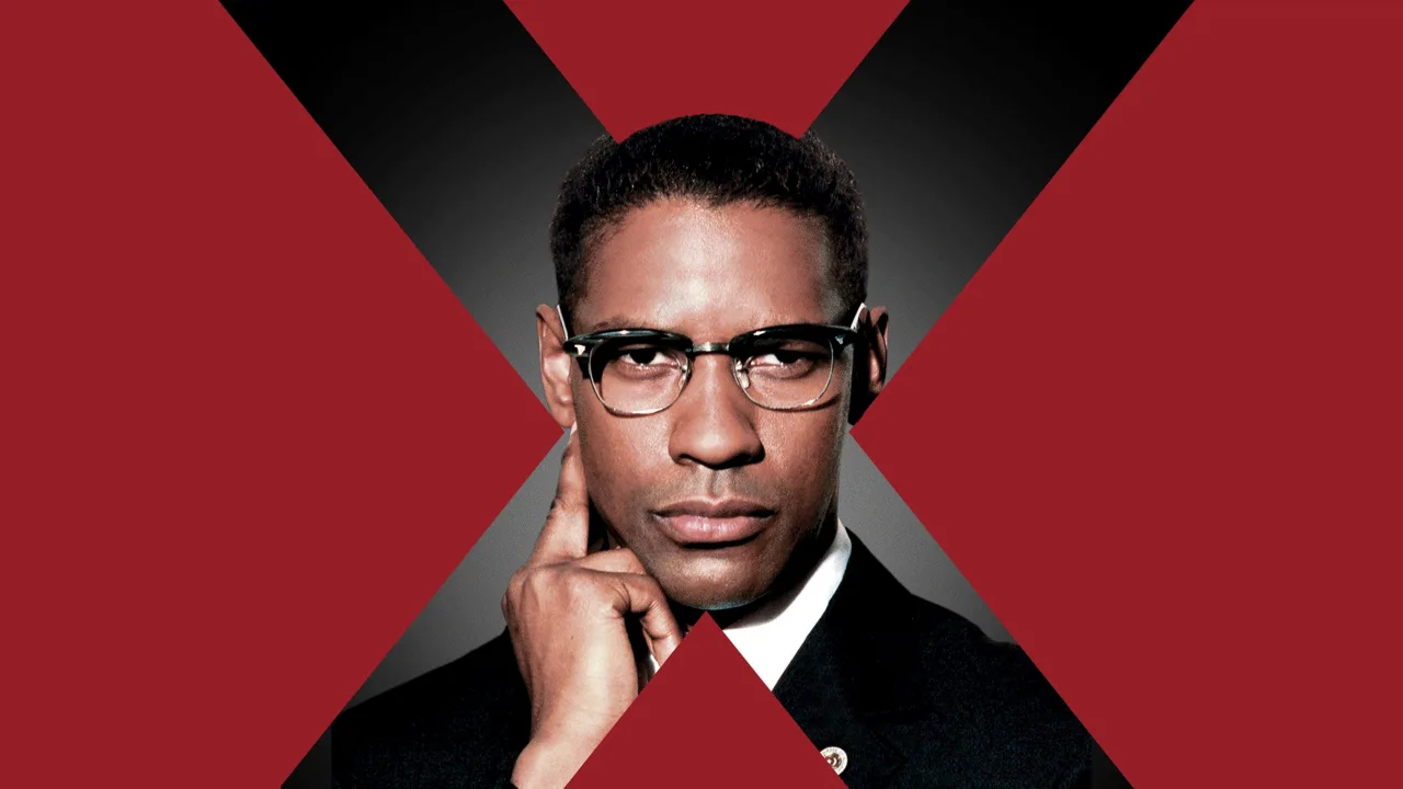 Malcolm X İndir - görsel 2