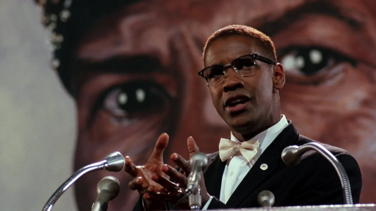 Malcolm X İndir - görsel 4