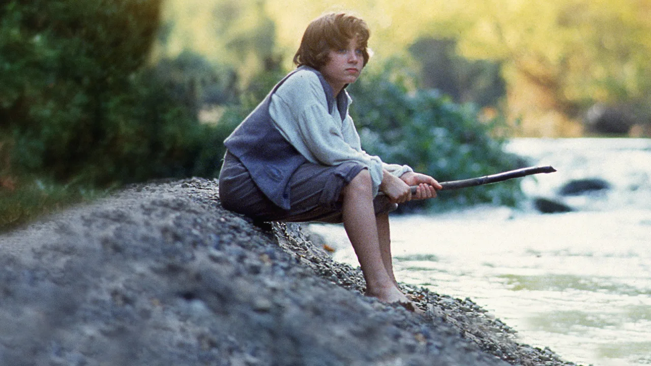 The Adventures of Huck Finn İndir - görsel 3