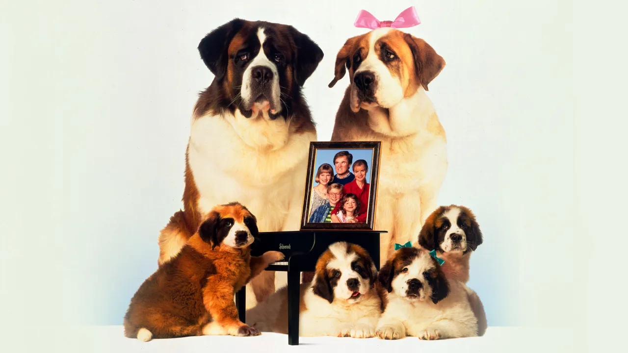 Afacan Köpek Beethoven 2 İndir - görsel 3