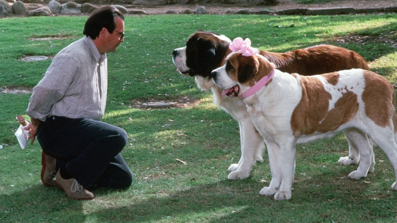 Afacan Köpek Beethoven 2 İndir - görsel 8
