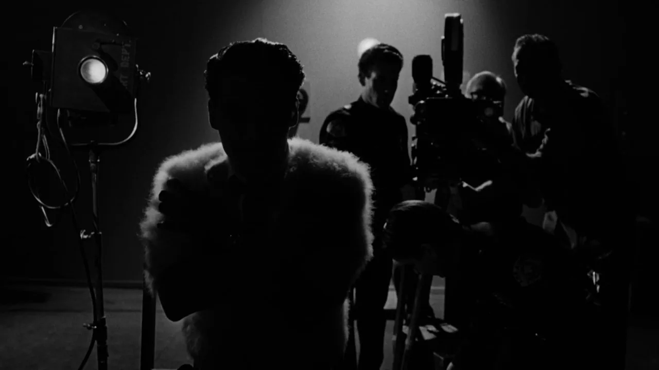 Ed Wood İndir - görsel 7