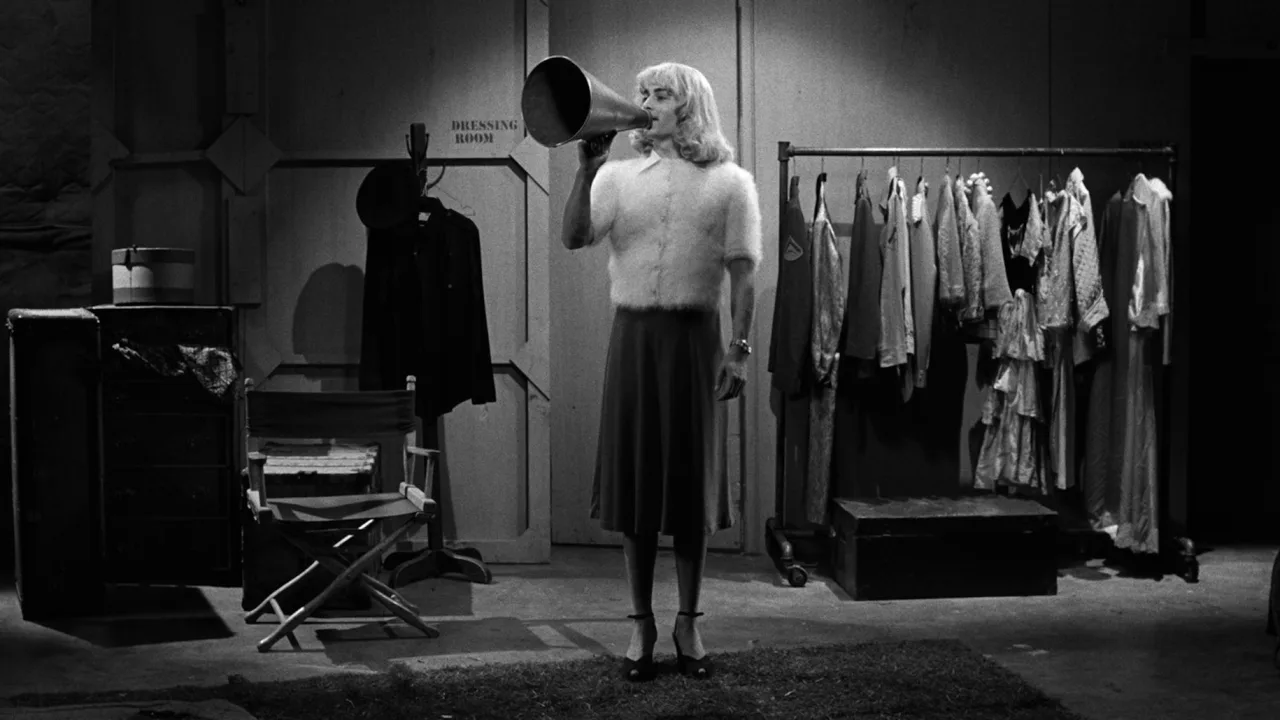 Ed Wood İndir - görsel 8
