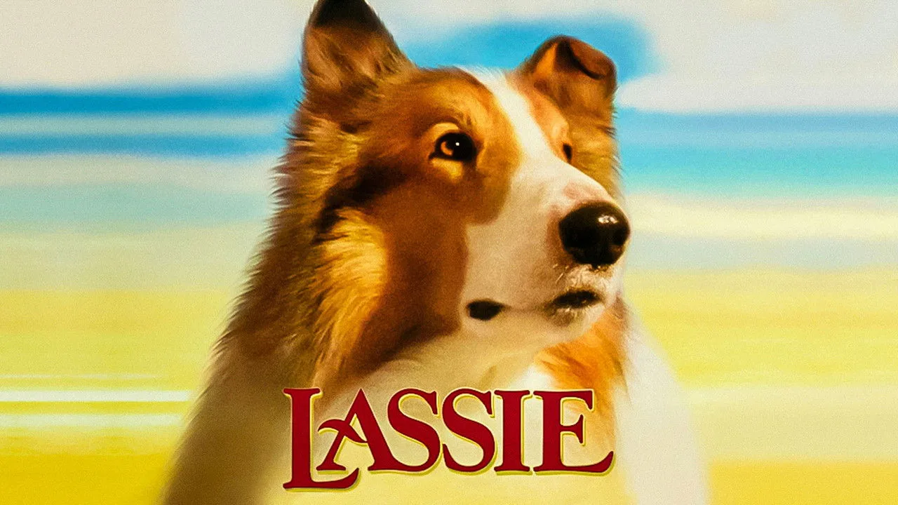 Lassie İndir - görsel 7