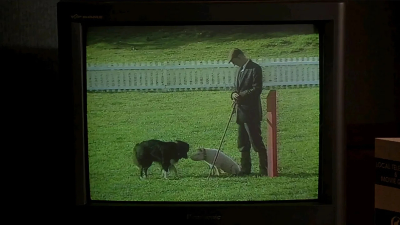 Bebe İndir - görsel 6