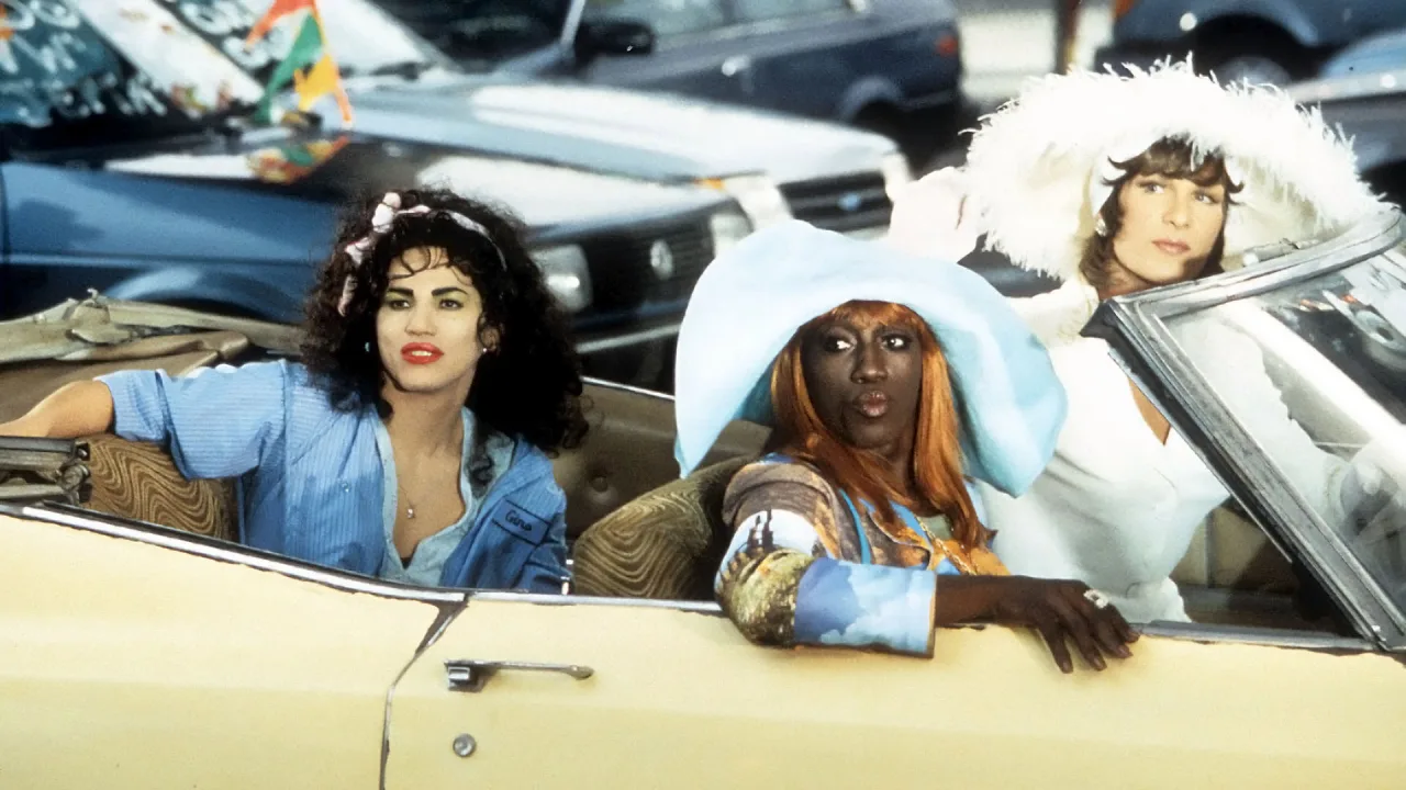 Wong Foo'ya Teşekkürler! İndir - görsel 2