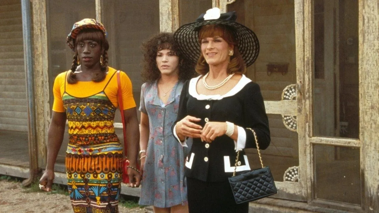 Wong Foo'ya Teşekkürler! İndir - görsel 7