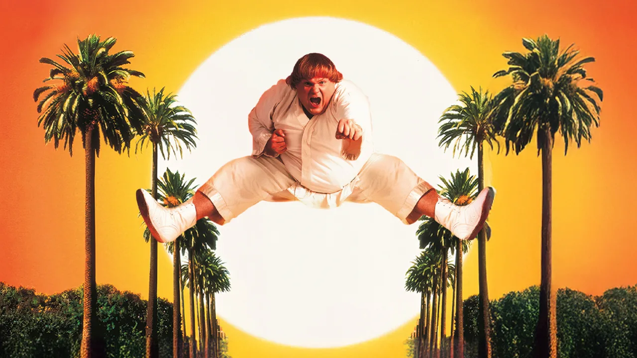 Beverly Hills Ninja İndir - görsel 3