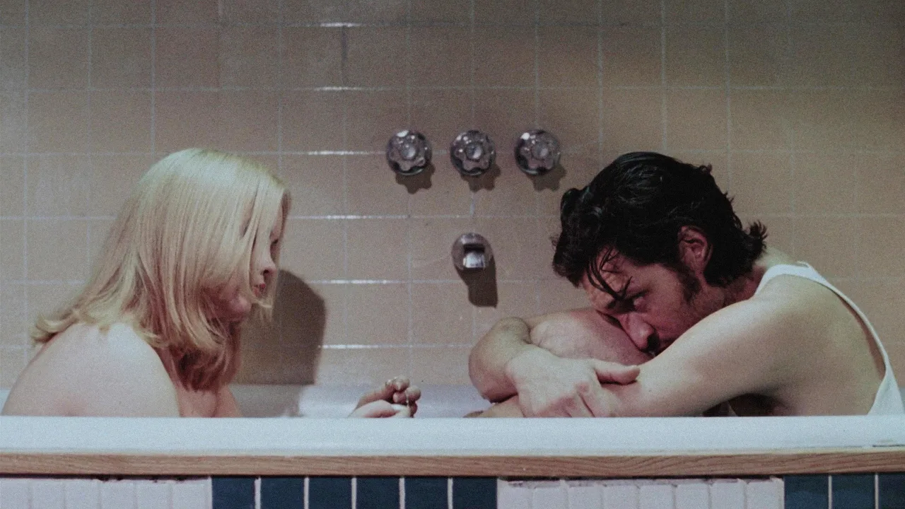 Buffalo '66 İndir - görsel 2