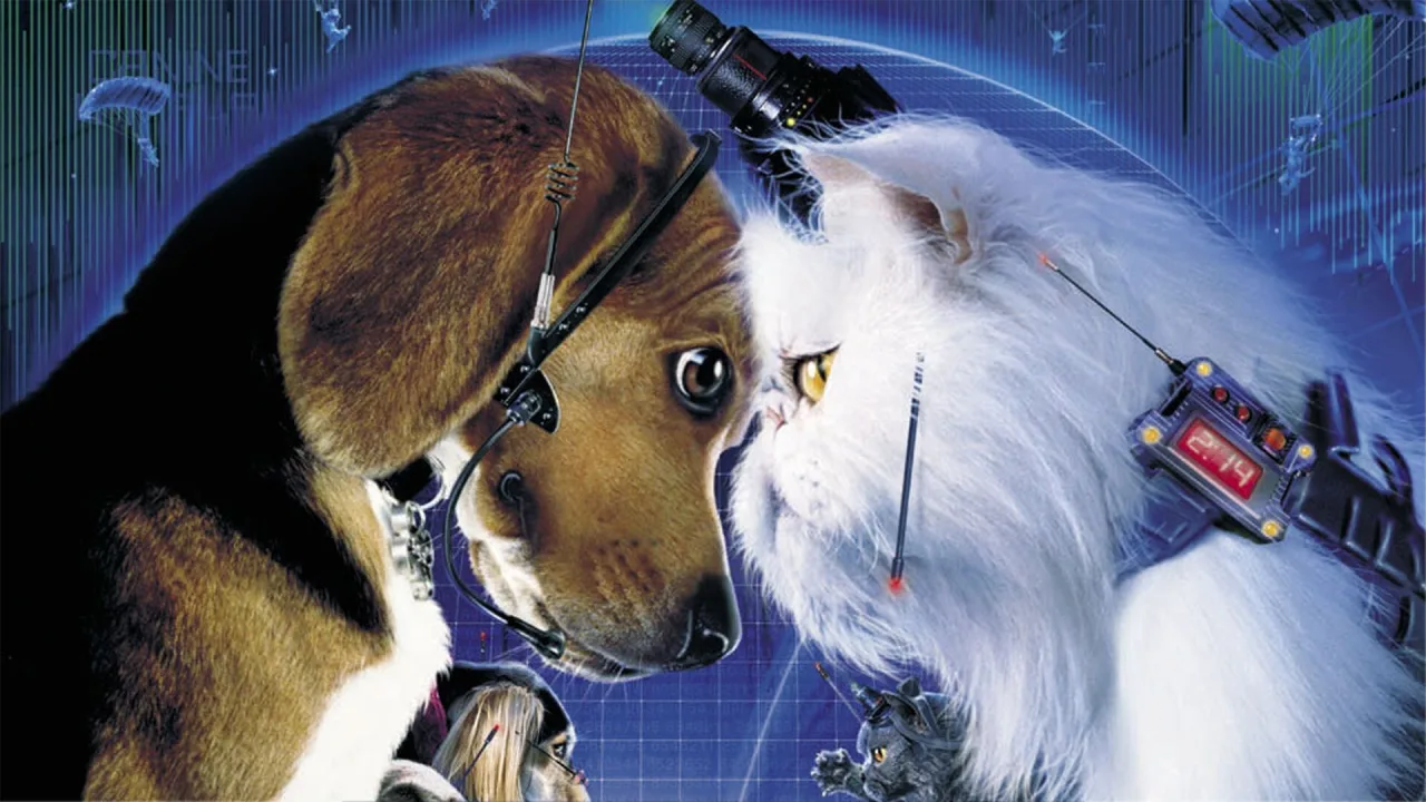 Kediler ve Köpekler İndir - görsel 2