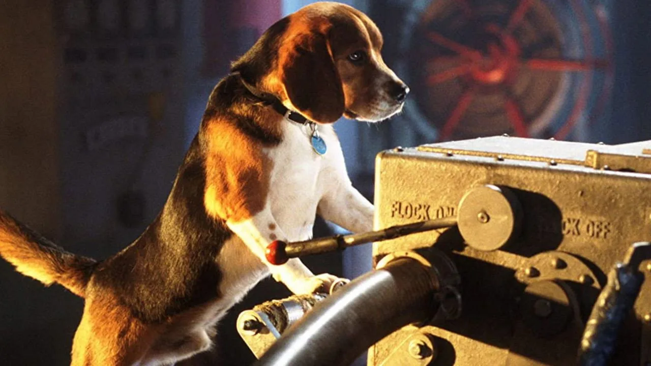 Kediler ve Köpekler İndir - görsel 6