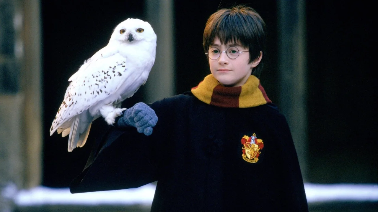 Harry Potter ve Felsefe Taşı İndir - görsel 10