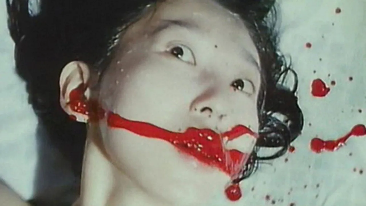 Lolita: Vibrator Torture İndir - görsel 9