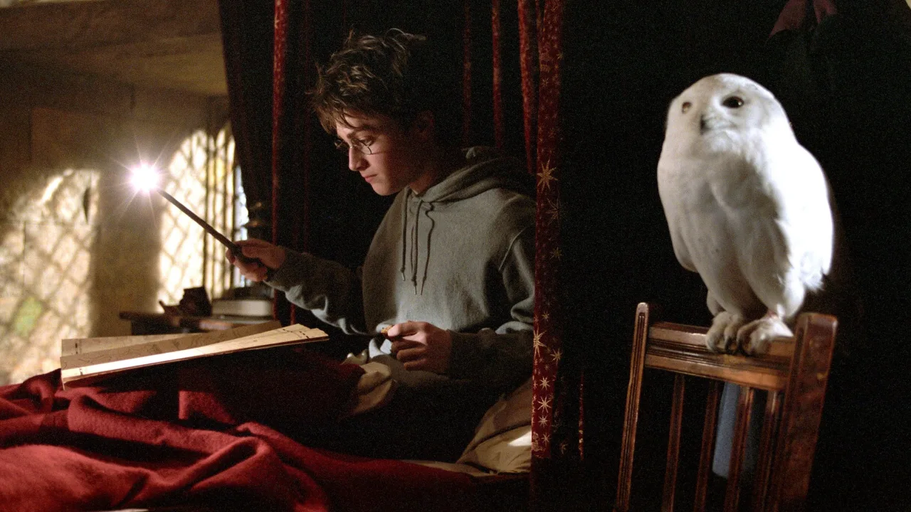 Harry Potter ve Azkaban Tutsağı İndir - görsel 5