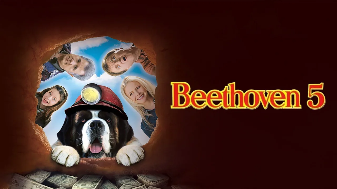 Afacan Köpek Beethoven 5 - görsel 9