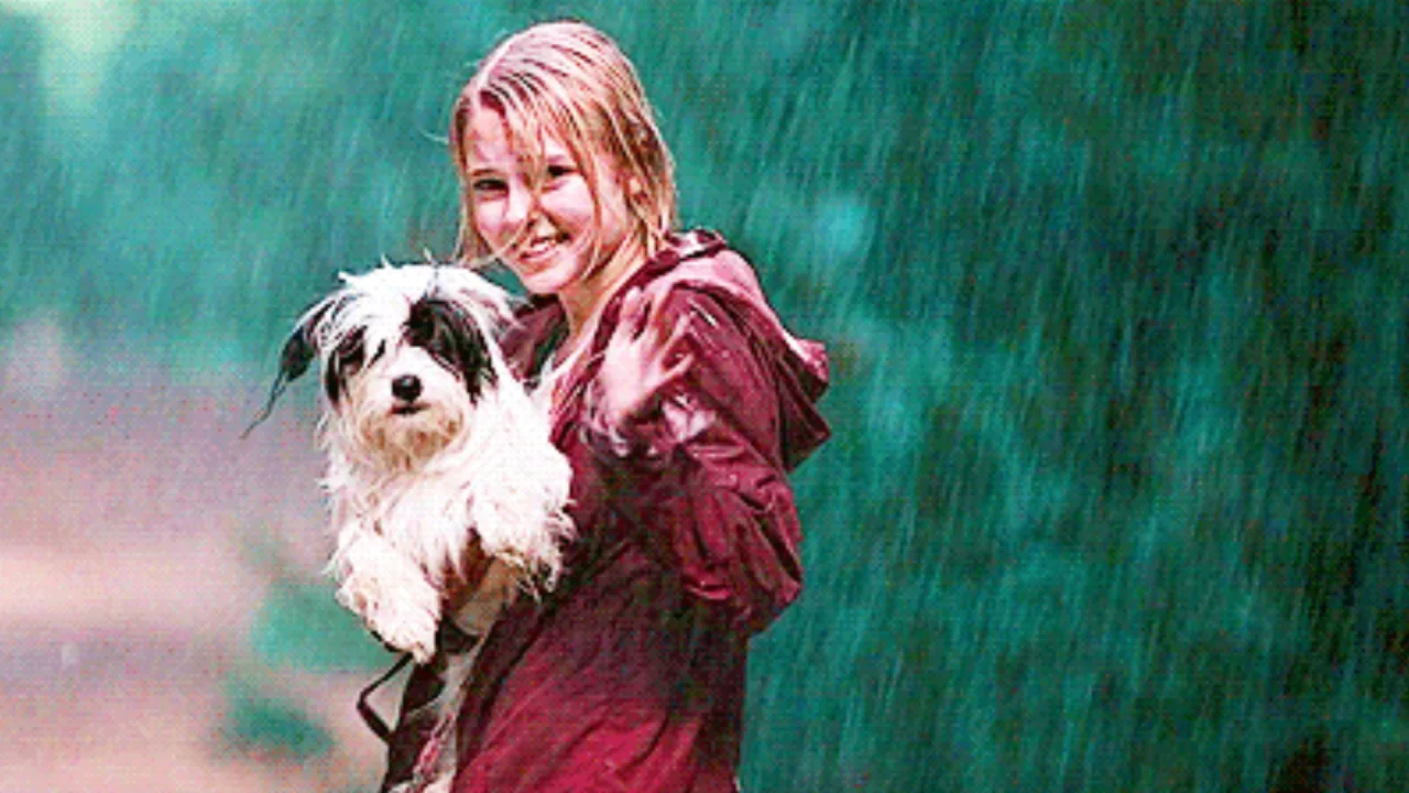 Terabithia Köprüsü İndir - görsel 10