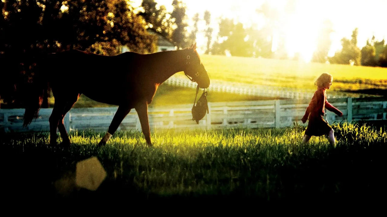 Hayalperest İndir - görsel 2