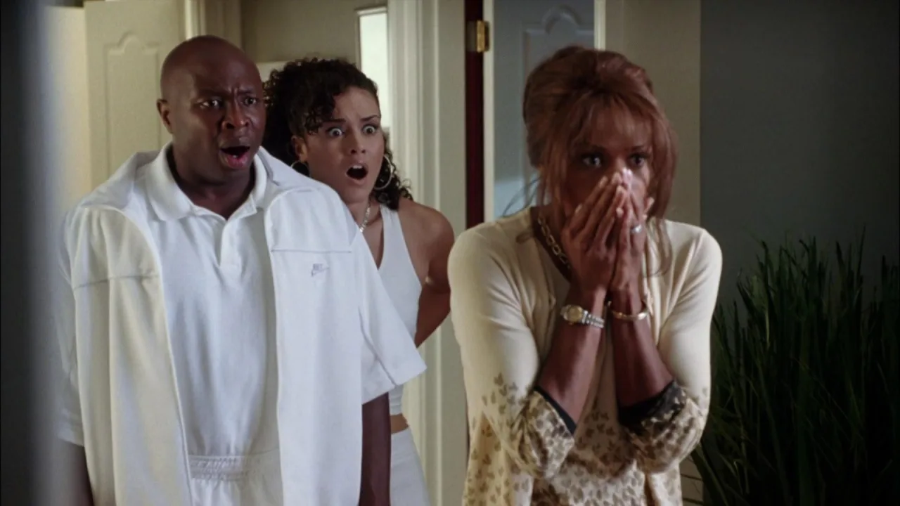 Diary of a Mad Black Woman İndir - görsel 5