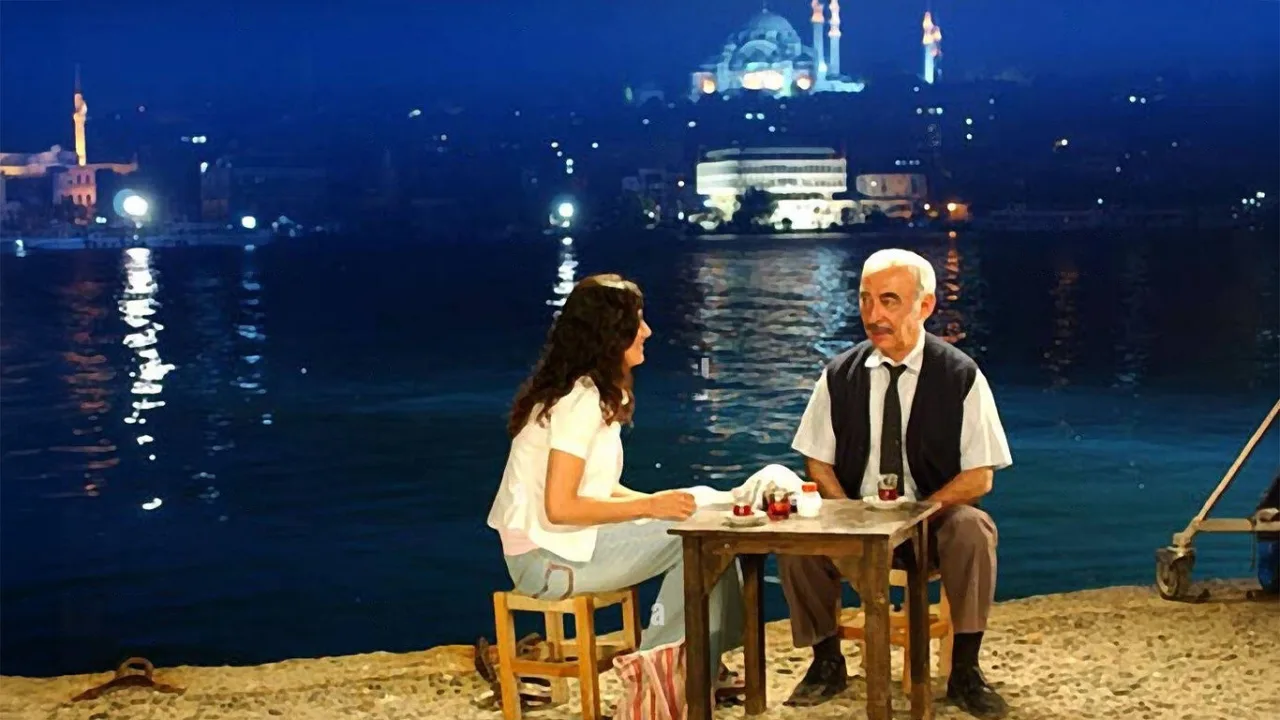 Gönül Yarası İndir - görsel 1