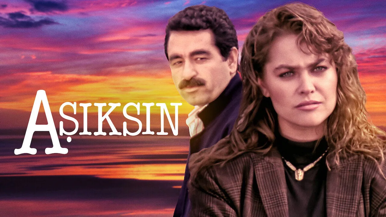 Sen Aşıksın Arkadaş İndir - görsel 3