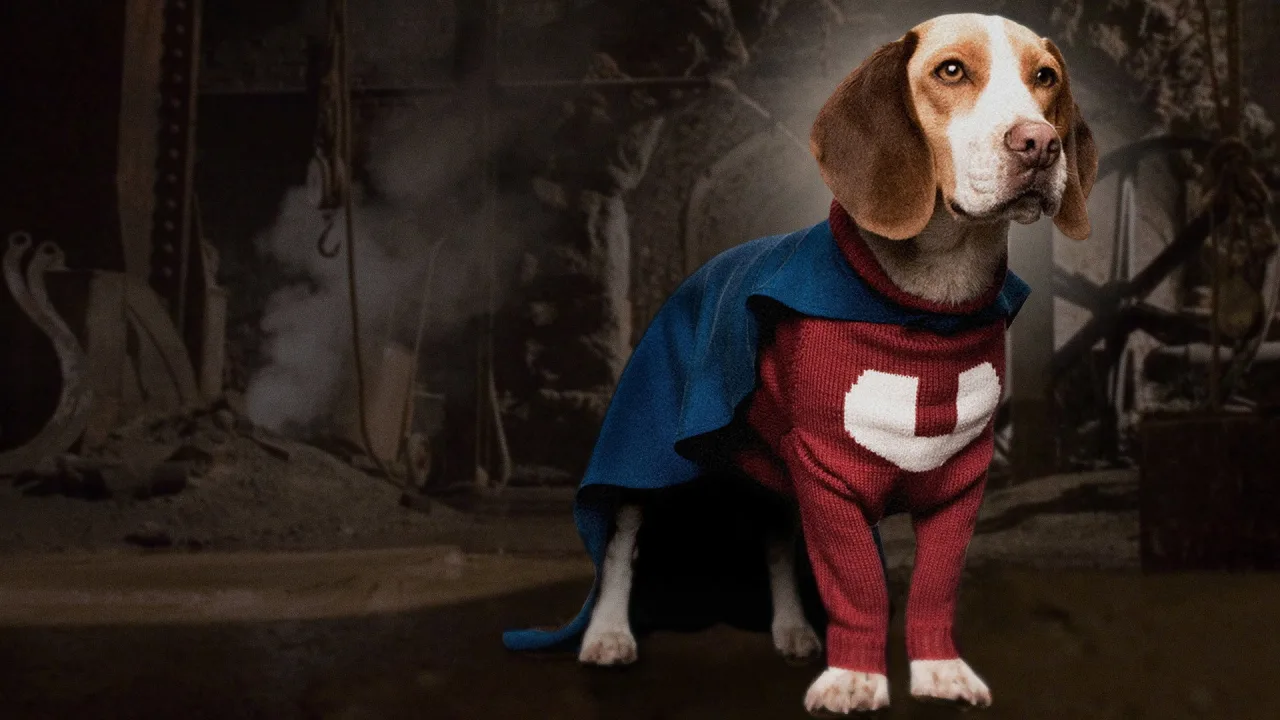 Süper Köpek İndir - görsel 7