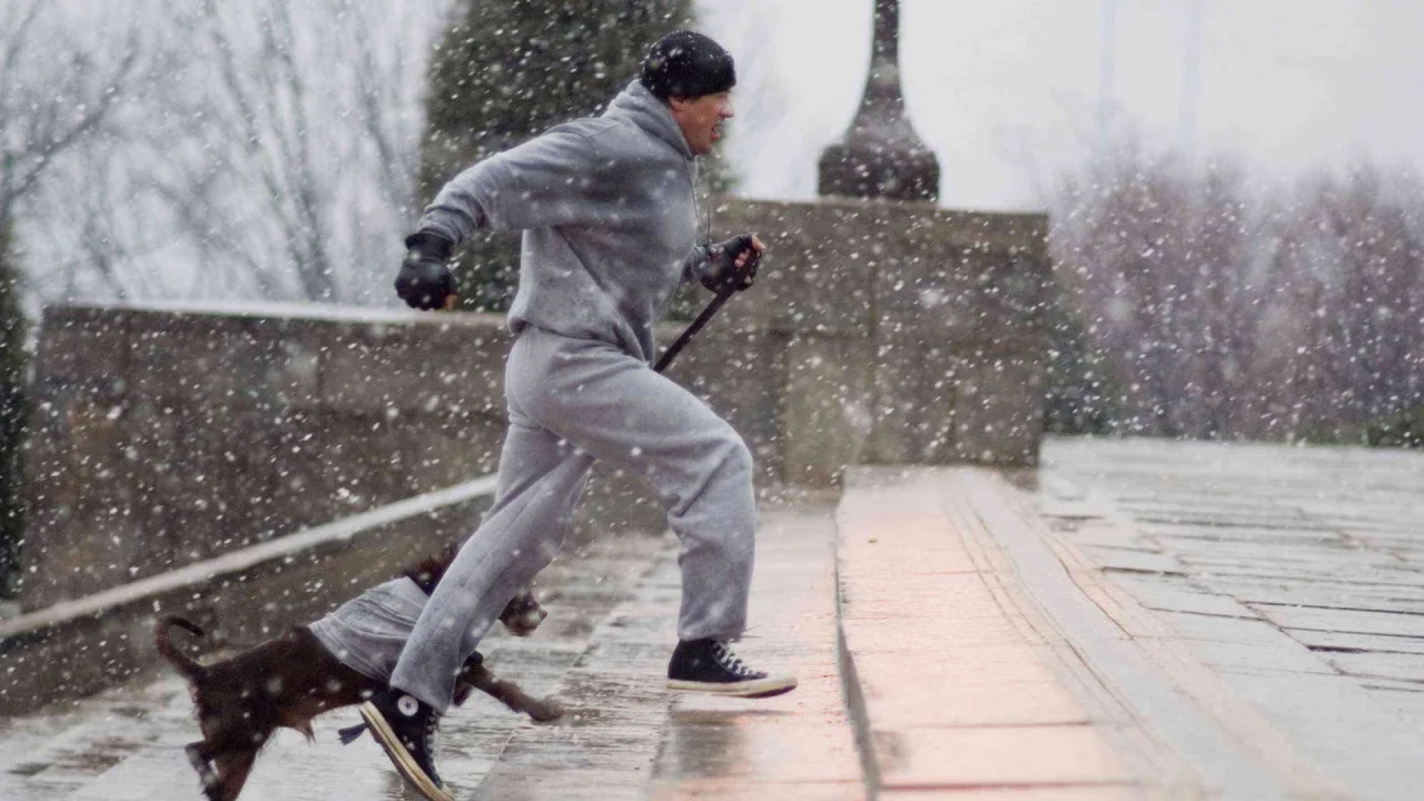 Rocky 6: Balboa İndir - görsel 6
