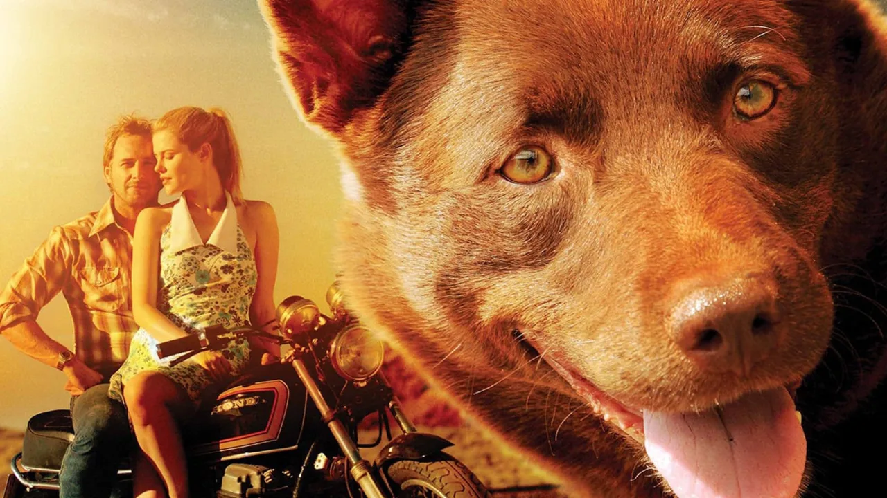 Kırmızı Köpek İndir - görsel 2
