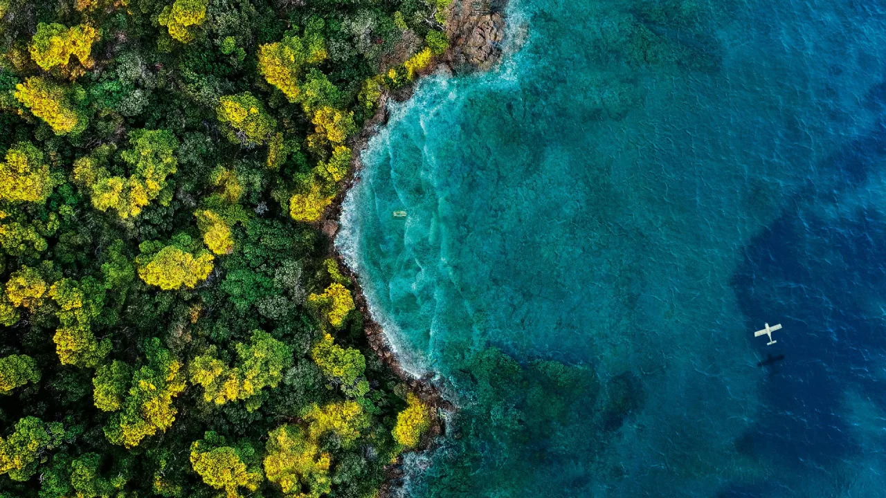 Hayal Adası İndir - görsel 8