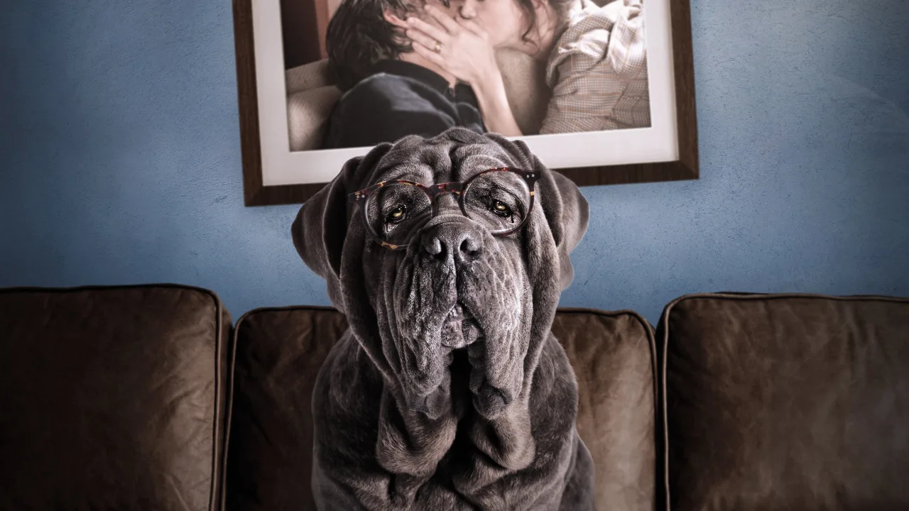 Benim Şapşik Köpeğim İndir - görsel 1