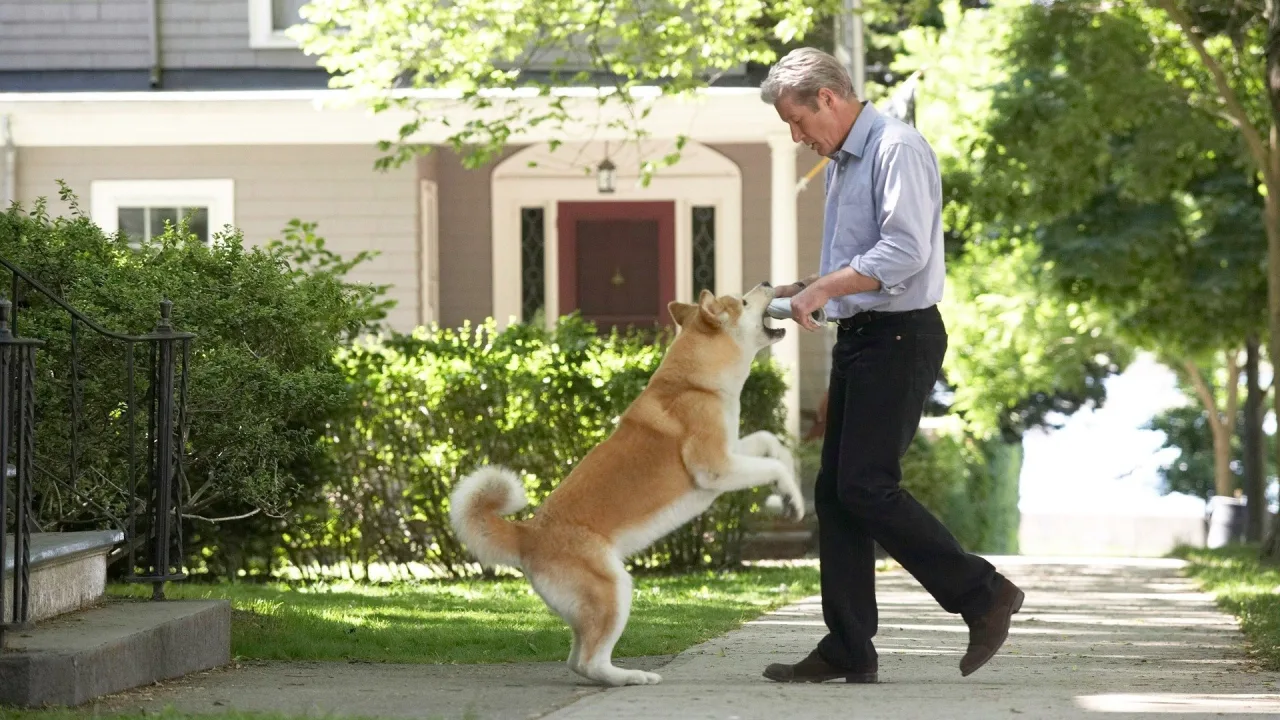 Hachi: Bir Köpeğin Hikayesi İndir - görsel 1