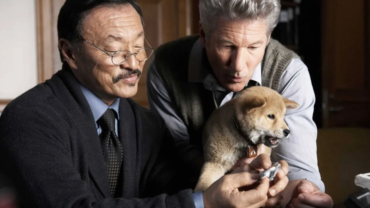 Hachi: Bir Köpeğin Hikayesi İndir - görsel 5