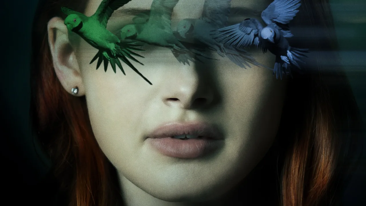 Sightless İndir - görsel 3