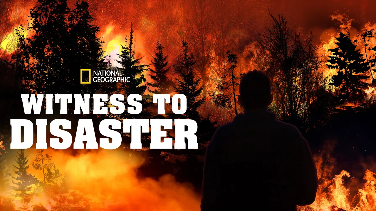 Witness to Disaster 1080p İndir - görsel 5