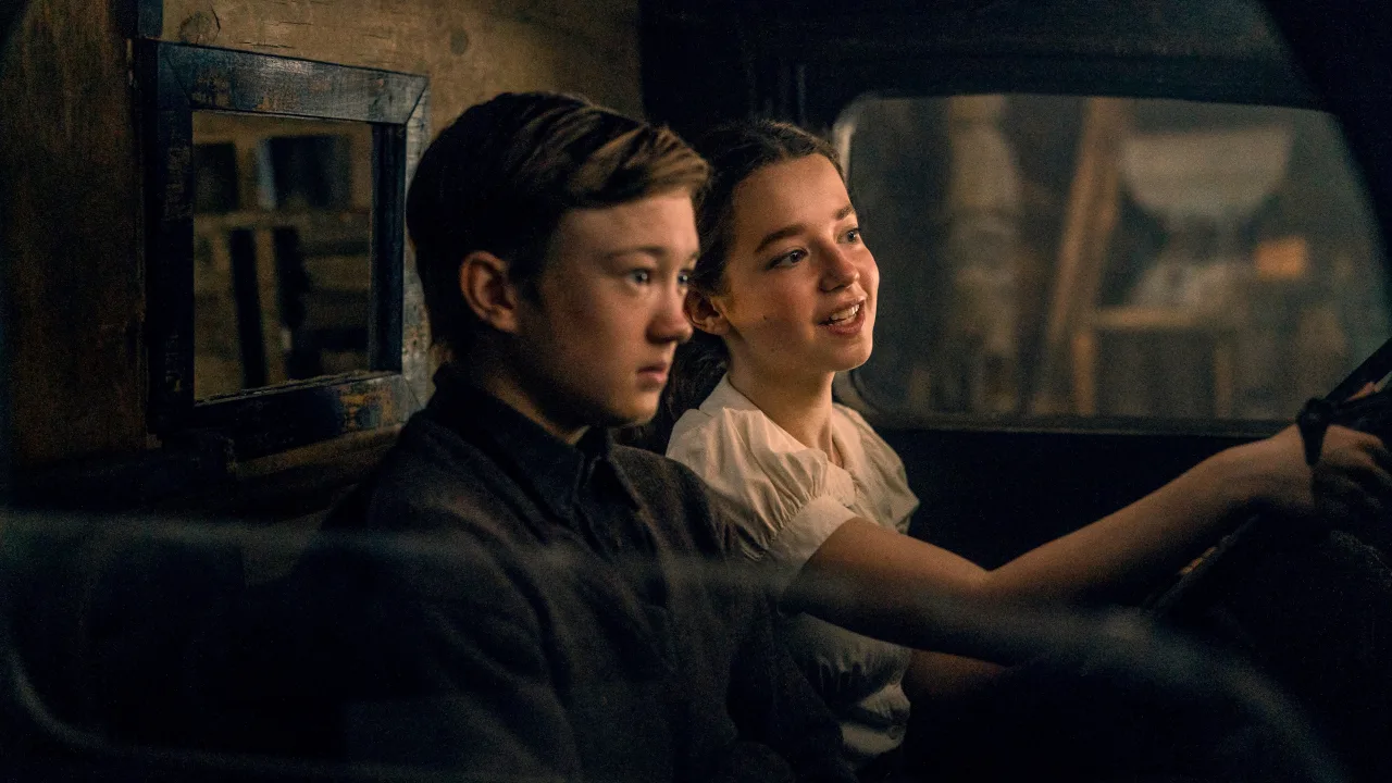 White Bird İndir - görsel 8