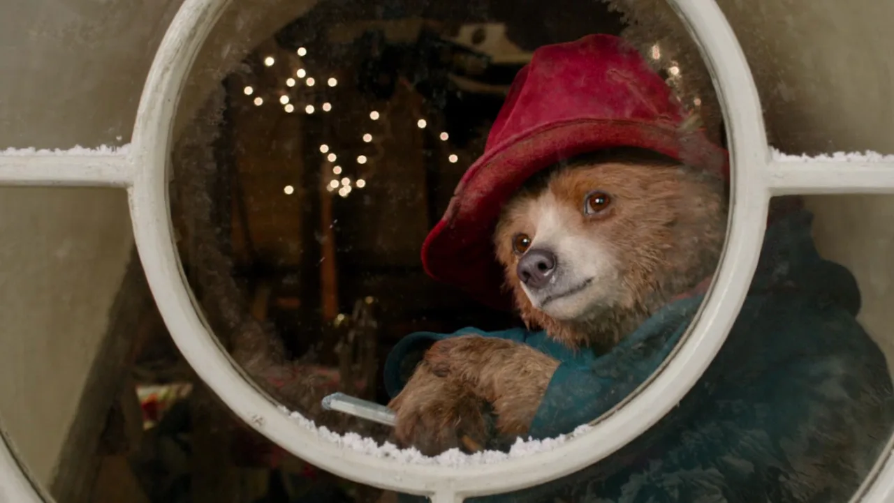 Ayı Paddington İndir - görsel 4