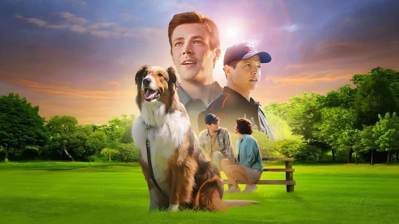 Kurtarma Köpeği Ruby İndir - görsel 1