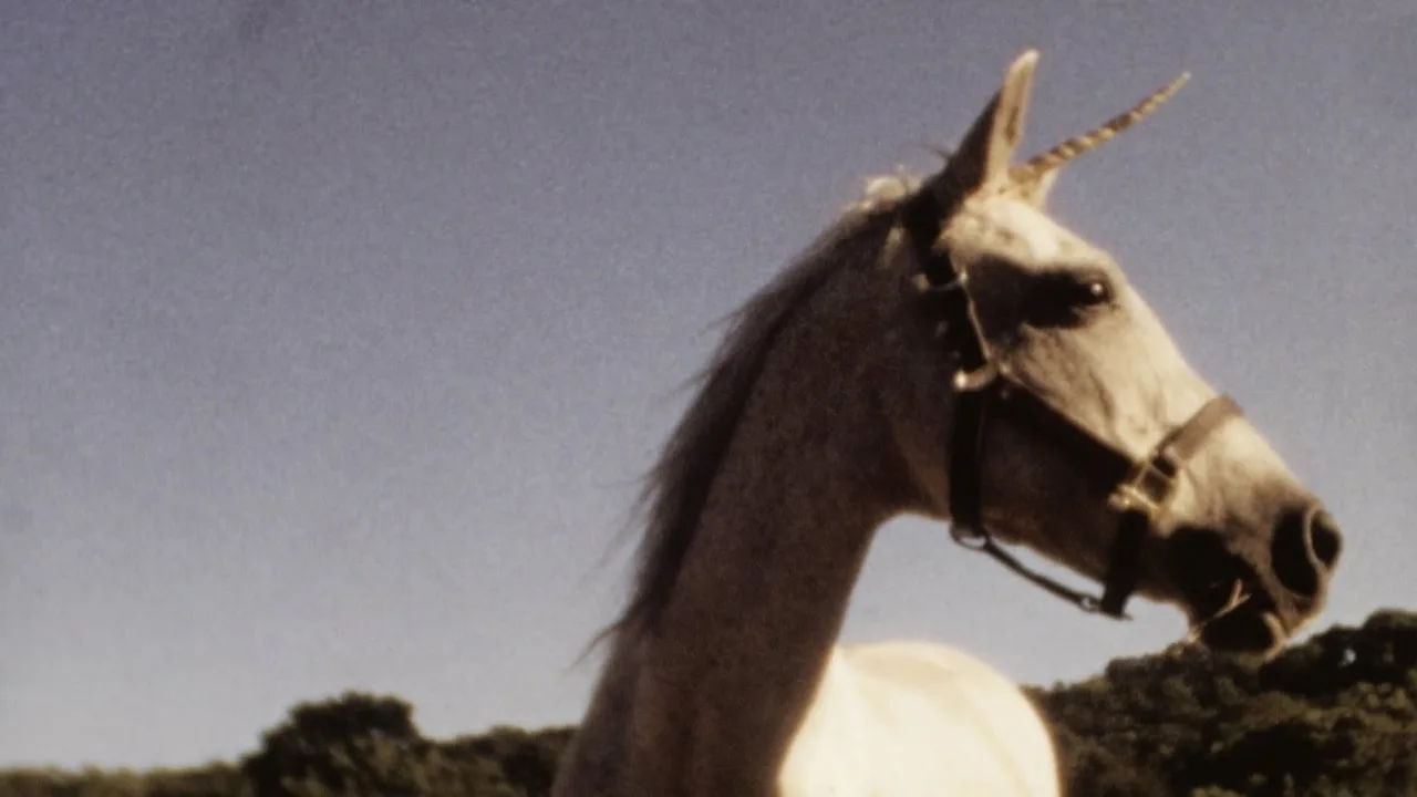I Believe in Unicorns - görsel 6