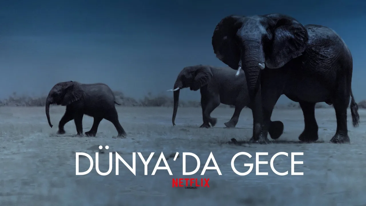 Dünya'da Gece 1080p Dual İndir - görsel 3