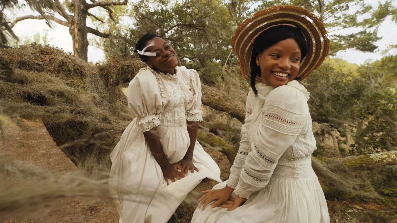The Color Purple İndir - görsel 4
