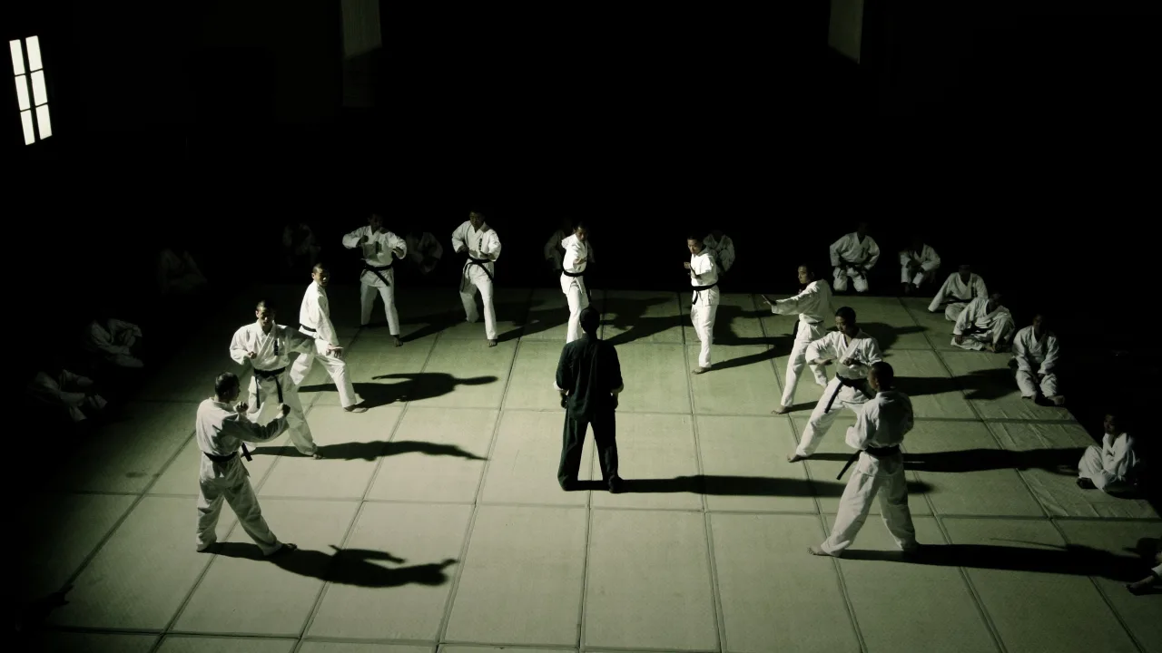 Yip Man İndir - görsel 3