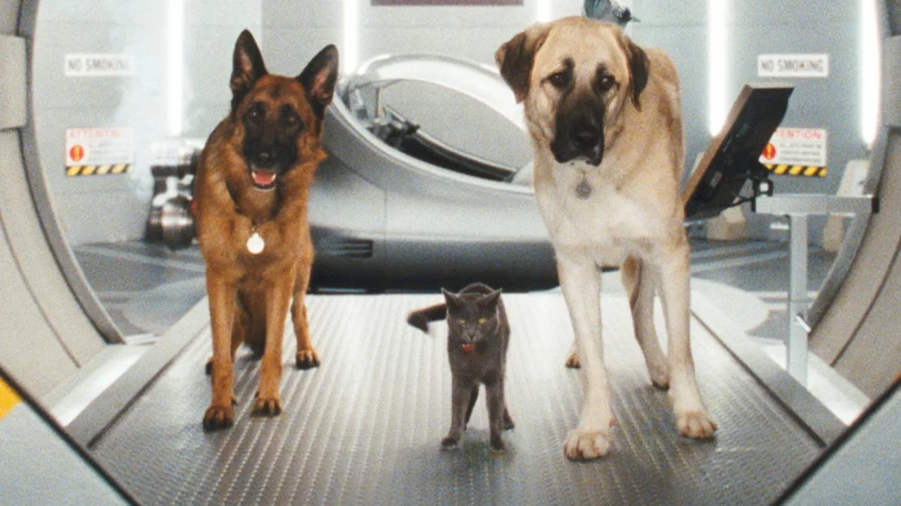 Kediler ve Köpekler 2: Kitty Galore'un İntikamı İndir - görsel 1