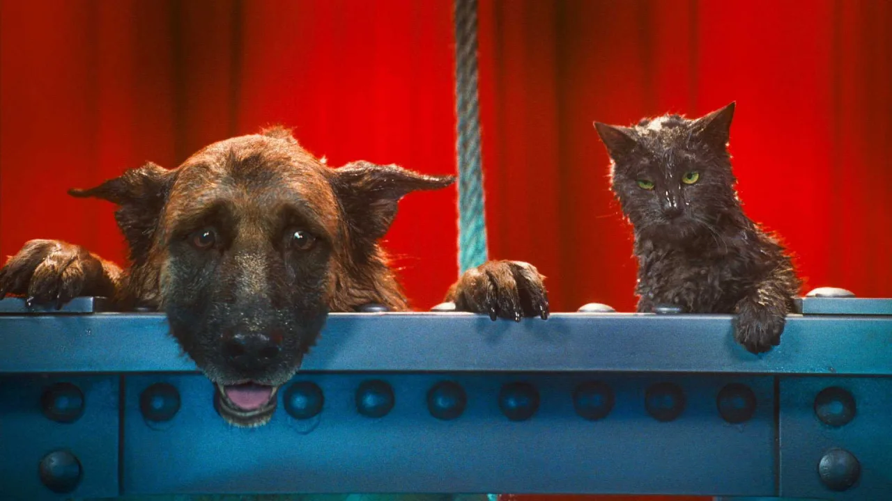 Kediler ve Köpekler 2: Kitty Galore'un İntikamı İndir - görsel 8