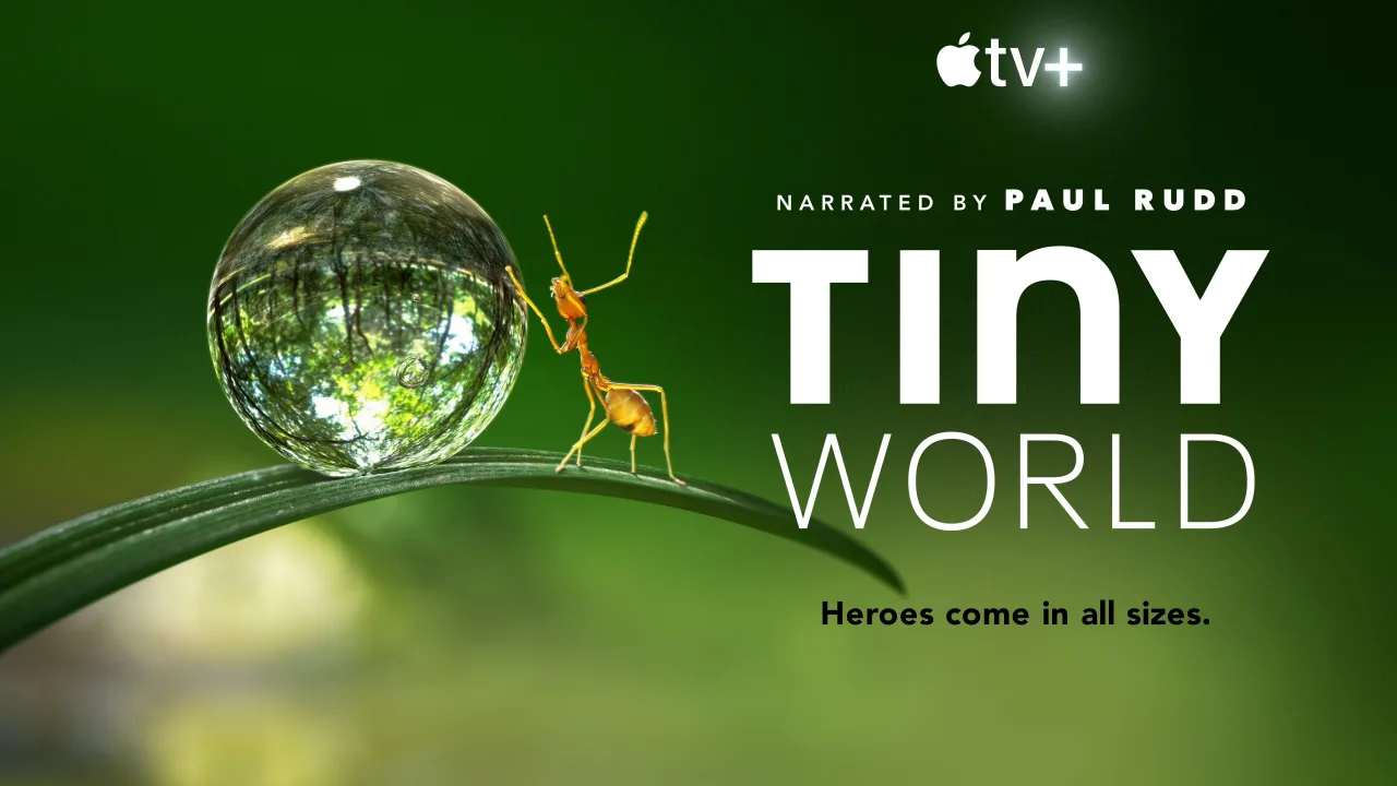 Tiny World 1080p Altyazılı İndir - görsel 6