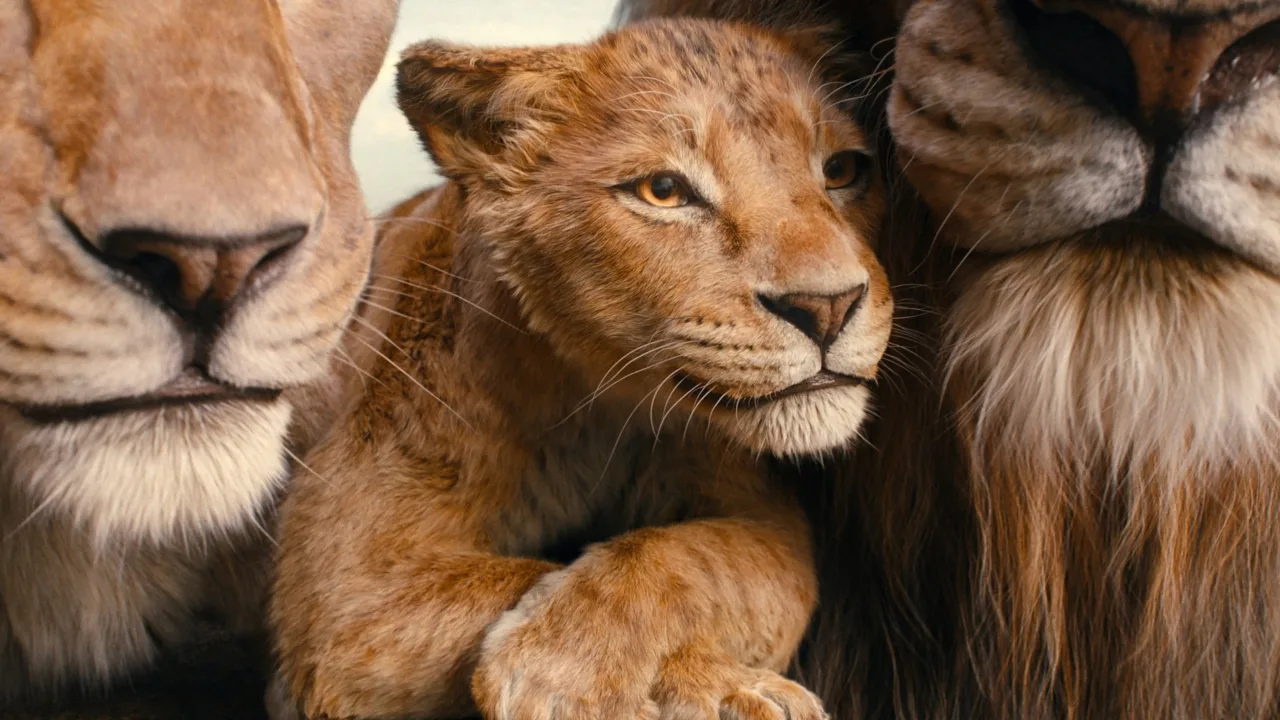 Mufasa: Aslan Kral İndir - görsel 6
